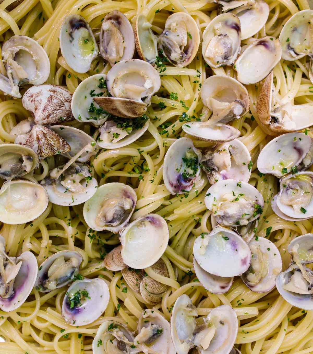 come-pulire-vongole